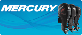 Mercury Transom Saver